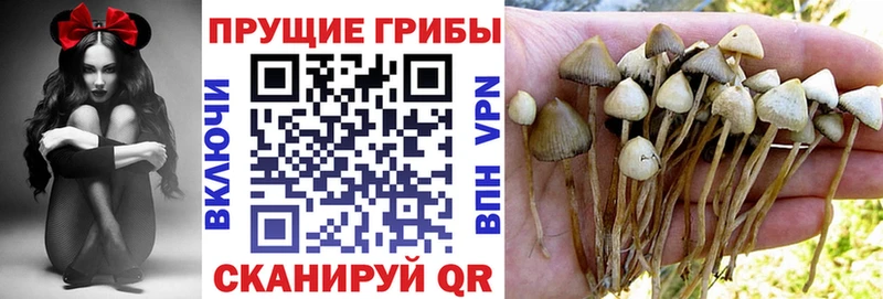Галлюциногенные грибы Magic Shrooms Любим